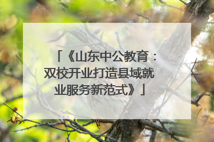 《山东中公教育：双校开业打造县域就业服务新范式》