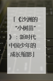 《沙洲的“小树苗”》：新时代中国少年的成长缩影