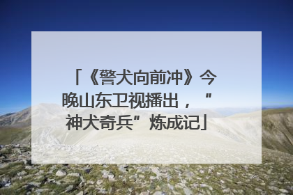 《警犬向前冲》今晚山东卫视播出，“神犬奇兵”炼成记