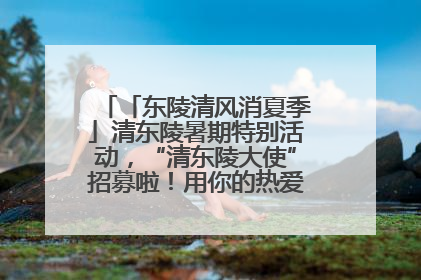 「东陵清风消夏季」清东陵暑期特别活动，“清东陵大使”招募啦！用你的热爱守护世界遗产！