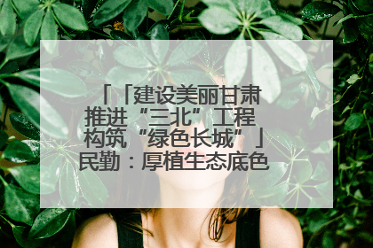 「建设美丽甘肃 推进“三北”工程 构筑“绿色长城”」民勤：厚植生态底色 筑牢绿色屏障