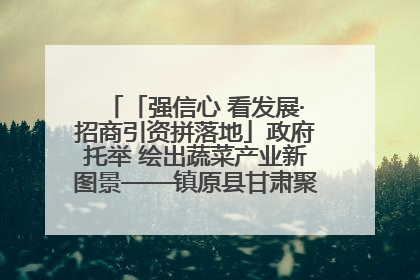 「强信心 看发展·招商引资拼落地」政府托举 绘出蔬菜产业新图景——镇原县甘肃聚广利现代设施蔬菜种植基地见闻