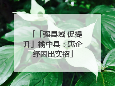「强县域 促提升」榆中县：惠企纾困出实招