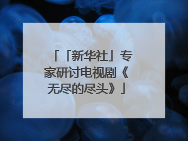 「新华社」专家研讨电视剧《无尽的尽头》