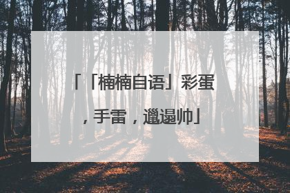 「楠楠自语」彩蛋，手雷，邋遢帅
