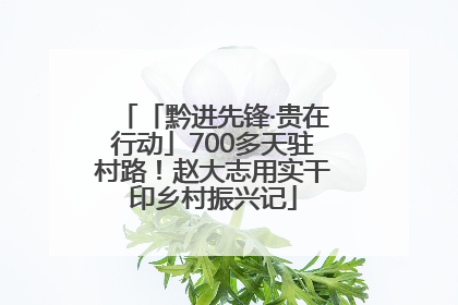 「黔进先锋·贵在行动」700多天驻村路！赵大志用实干印乡村振兴记