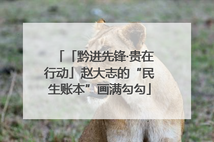 「黔进先锋·贵在行动」赵大志的“民生账本”画满勾勾