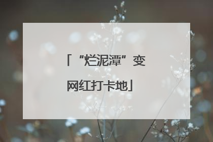 “烂泥潭”变网红打卡地