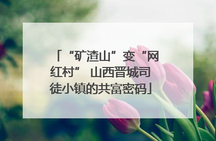 “矿渣山”变“网红村” 山西晋城司徒小镇的共富密码