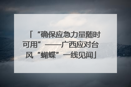 “确保应急力量随时可用”——广西应对台风“蝴蝶”一线见闻