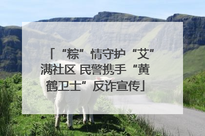 “粽”情守护“艾”满社区 民警携手“黄鹤卫士”反诈宣传