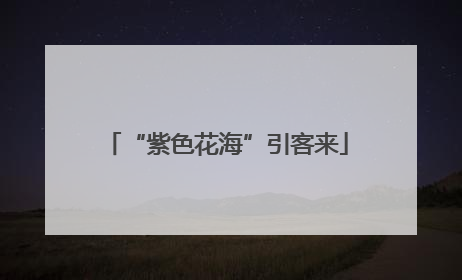 “紫色花海”引客来