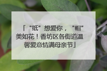 “纸”想爱你，“帽”美如花！香坊区各街道温馨爱意情满母亲节