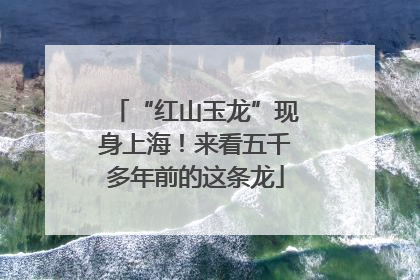 “红山玉龙”现身上海！来看五千多年前的这条龙