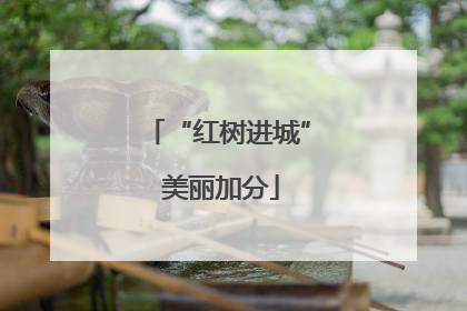 “红树进城” 美丽加分