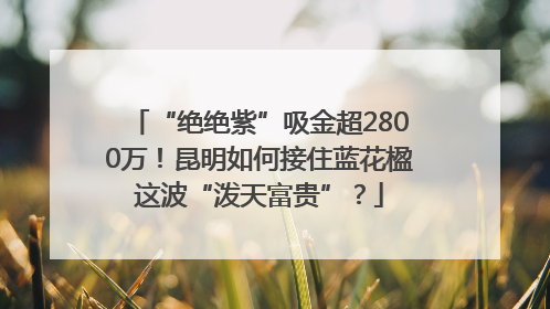 “绝绝紫”吸金超2800万！昆明如何接住蓝花楹这波“泼天富贵”？