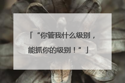 “你管我什么级别，能抓你的级别！”