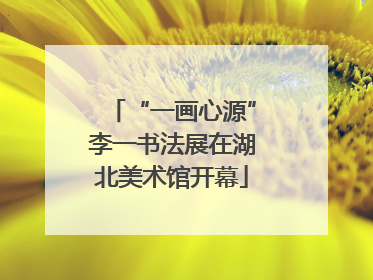 “一画心源”李一书法展在湖北美术馆开幕