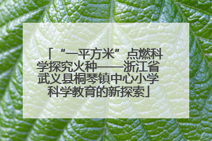 “一平方米”点燃科学探究火种——浙江省武义县桐琴镇中心小学科学教育的新探索