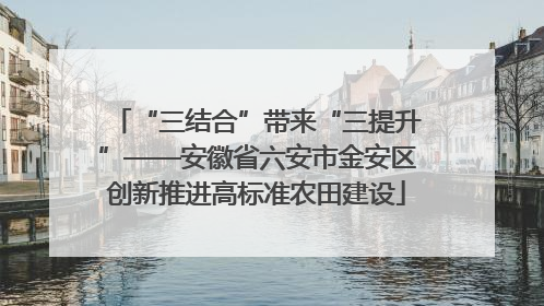 “三结合”带来“三提升”——安徽省六安市金安区创新推进高标准农田建设