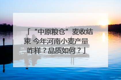 “中原粮仓”麦收结束 今年河南小麦产量咋样？品质如何？