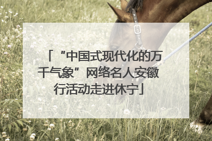 “中国式现代化的万千气象”网络名人安徽行活动走进休宁