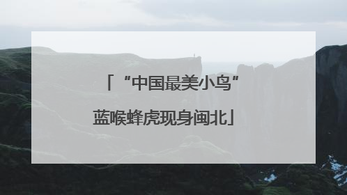 “中国最美小鸟”蓝喉蜂虎现身闽北