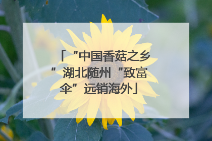 “中国香菇之乡”湖北随州“致富伞”远销海外