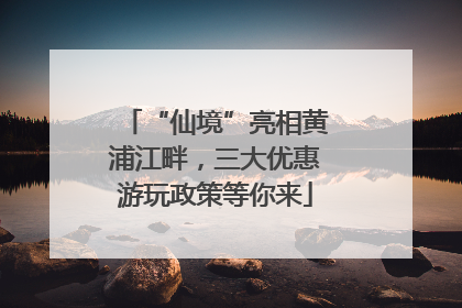 “仙境”亮相黄浦江畔，三大优惠游玩政策等你来