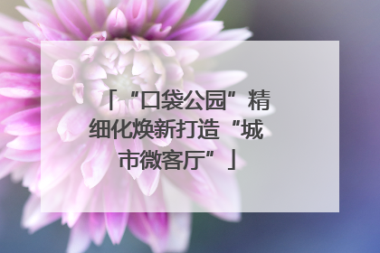 “口袋公园”精细化焕新打造“城市微客厅”