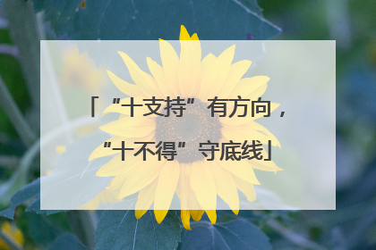 “十支持”有方向，“十不得”守底线