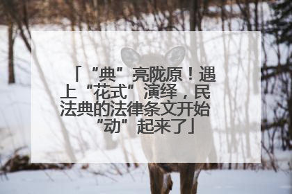 “典”亮陇原！遇上“花式”演绎，民法典的法律条文开始“动”起来了
