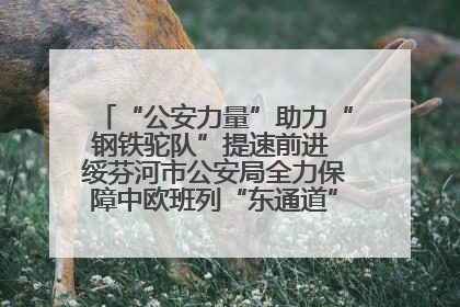 “公安力量”助力“钢铁驼队”提速前进 绥芬河市公安局全力保障中欧班列“东通道”绥芬河隧道贯通