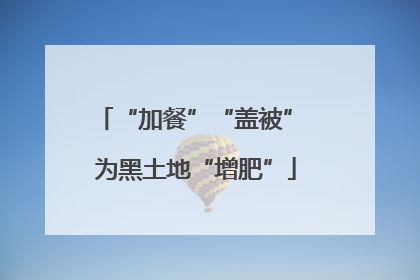“加餐”“盖被” 为黑土地“增肥”