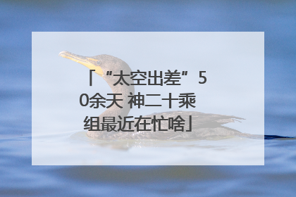 “太空出差”50余天 神二十乘组最近在忙啥