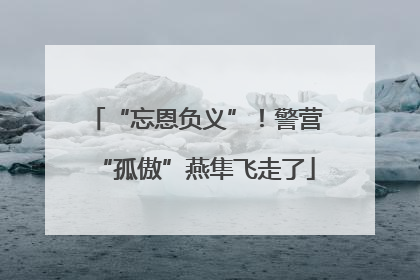 “忘恩负义”！警营“孤傲”燕隼飞走了