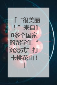 “很美丽！”来自10多个国家的留学生“沉浸式”打卡桃花山！