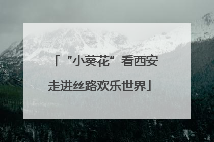 “小葵花”看西安走进丝路欢乐世界