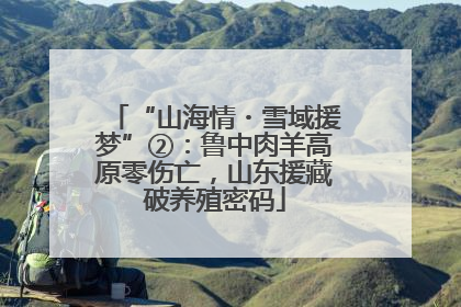 “山海情・雪域援梦”②：鲁中肉羊高原零伤亡，山东援藏破养殖密码