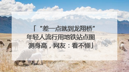 “差一点就到龙翔桥”年轻人流行用地铁站点图测身高，网友：看不懂