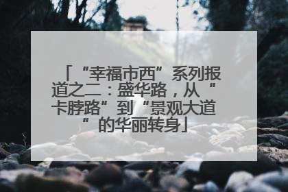 “幸福市西”系列报道之二：盛华路，从“卡脖路”到“景观大道”的华丽转身
