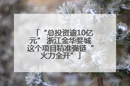 “总投资逾10亿元” 浙江金华婺城这个项目精准强链“火力全开”