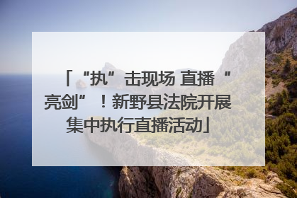 “执”击现场 直播“亮剑”！新野县法院开展集中执行直播活动