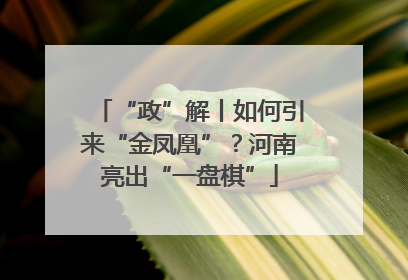 “政”解丨如何引来“金凤凰”？河南亮出“一盘棋”