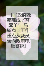“政府效率部成了替罪羊” 马斯克：工作重点从裁员转向政府电脑系统