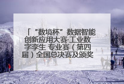 “数境杯”数据智能创新应用大赛·工业数字孪生 专业赛（第四届）全国总决赛及颁奖典礼成功举办