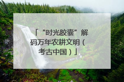 “时光胶囊”解码万年农耕文明（考古中国）