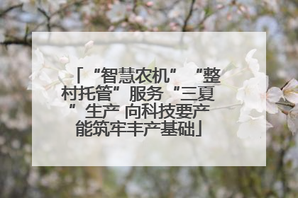 “智慧农机”“整村托管”服务“三夏”生产 向科技要产能筑牢丰产基础