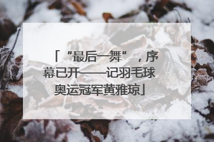 “最后一舞”，序幕已开——记羽毛球奥运冠军黄雅琼