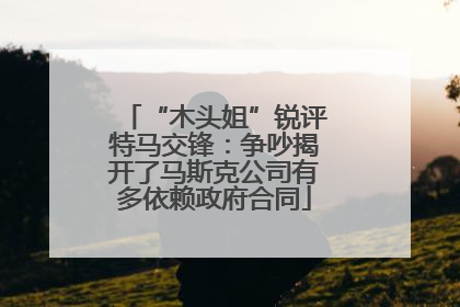 “木头姐”锐评特马交锋：争吵揭开了马斯克公司有多依赖政府合同